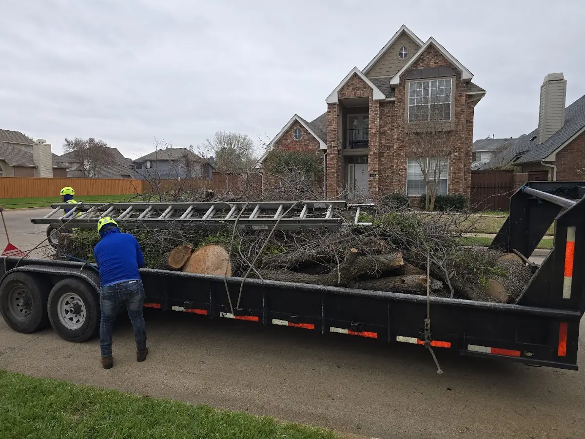 Expert Tree Pest Control with proper safety equipment in Garberville